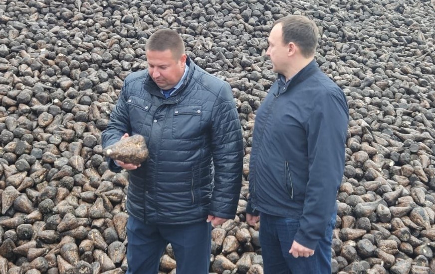 Саратовская область может накормить сахаром треть населения ПФО